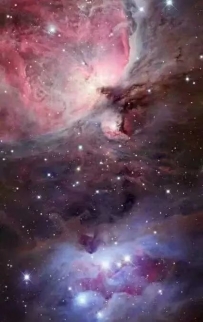 真要修道，必先开窍