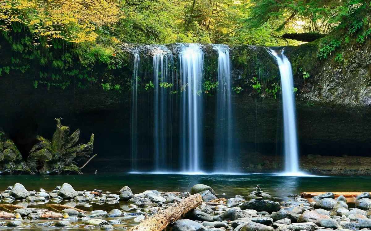 福德宫，能看出什么？