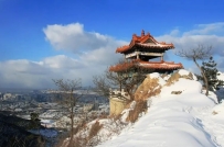 教你如何结合八字看大运