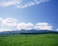 俗语“儿子像娘，金砖砌墙”，那女儿像爹会怎样？