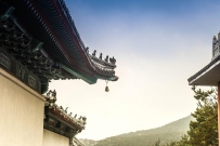 一个道门，几种道士