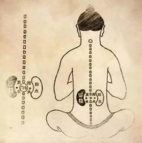 丹道修炼，肾经导引真阳之火补肾强壮功