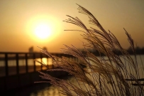 九大丹法流派汇集 教你看懂女子丹道