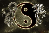 风水中的左青龙，右白虎，在实际生活中有哪些应用？