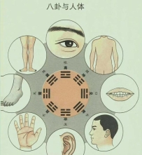 每个人身上都有个八卦图，你知道在哪里吗？