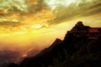 法器、尸解、雷法、咒术、符箓