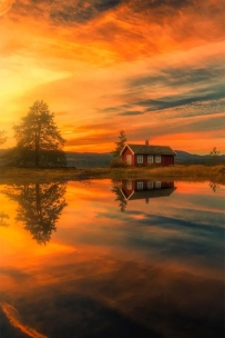 天人共振的“养神”之法