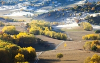 紫微斗数：命盘主星巨门星坐命宫的补充解释