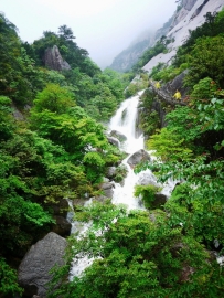 紫微斗数：命盘主星天府星坐命宫的补充解释