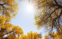 道教的“神”“仙”是什么？