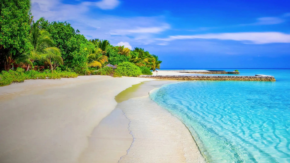 紫微斗数：财帛宫是什么？