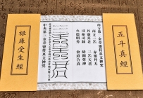 为什么要填还禄库？