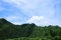 道家养睛明目法