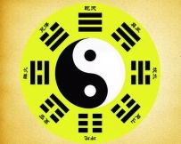 八种植物，六个阵法