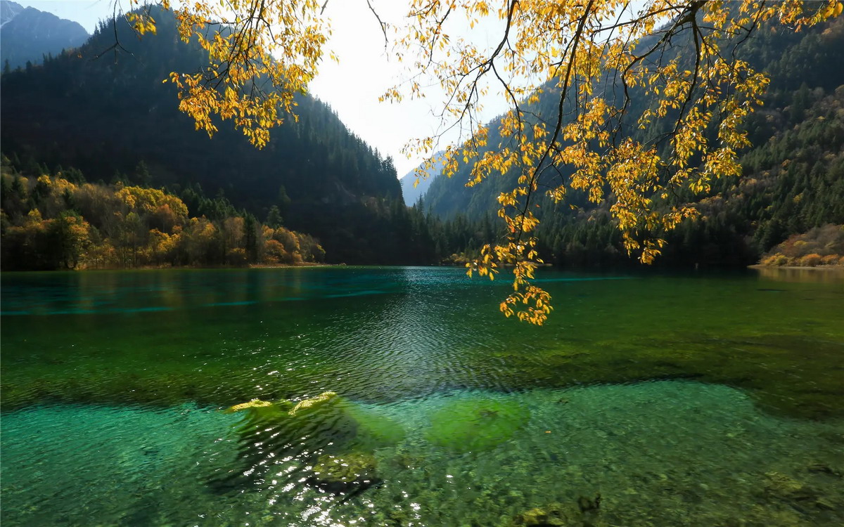 紫微斗数：如何看出人性的多面化？【事业宫】禄权科忌自化之意象